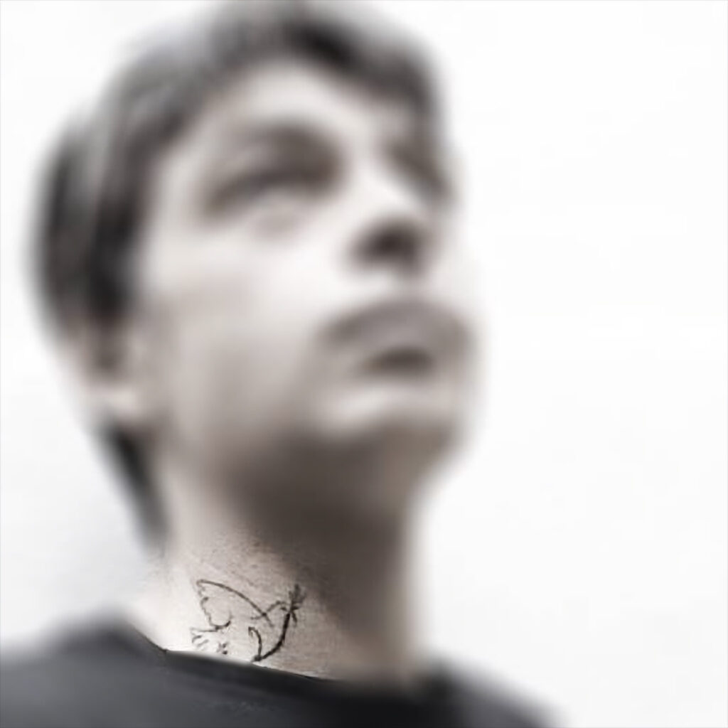 Franck de Villeneuve - Biography